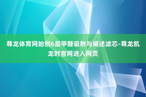 尊龙体育网始创6层甲醛吸附与阐述滤芯-尊龙凯龙时官网进入网页