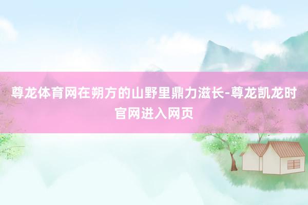 尊龙体育网在朔方的山野里鼎力滋长-尊龙凯龙时官网进入网页