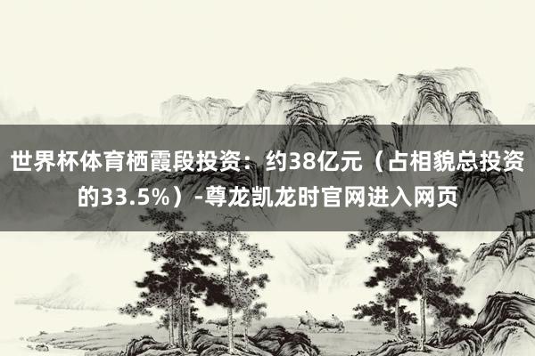 世界杯体育栖霞段投资：约38亿元（占相貌总投资的33.5%）-尊龙凯龙时官网进入网页