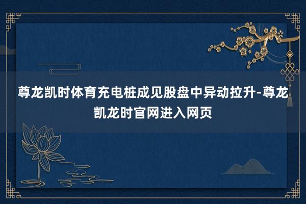 尊龙凯时体育　　充电桩成见股盘中异动拉升-尊龙凯龙时官网进入网页
