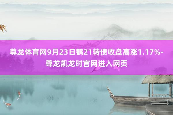 尊龙体育网9月23日鹤21转债收盘高涨1.17%-尊龙凯龙时官网进入网页