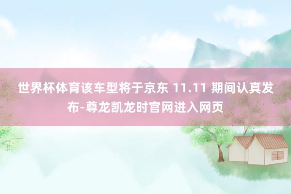 世界杯体育该车型将于京东 11.11 期间认真发布-尊龙凯龙时官网进入网页
